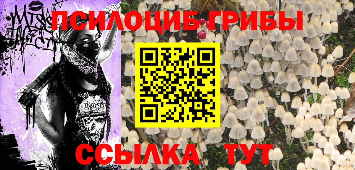 Галлюциногенные грибы MAGIC MUSHROOMS Избербаш